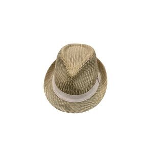 Elegant Tan Fedora Hat